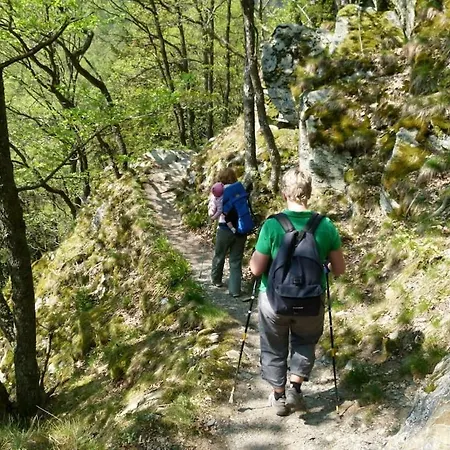 Gehlen High Fens * Monschau